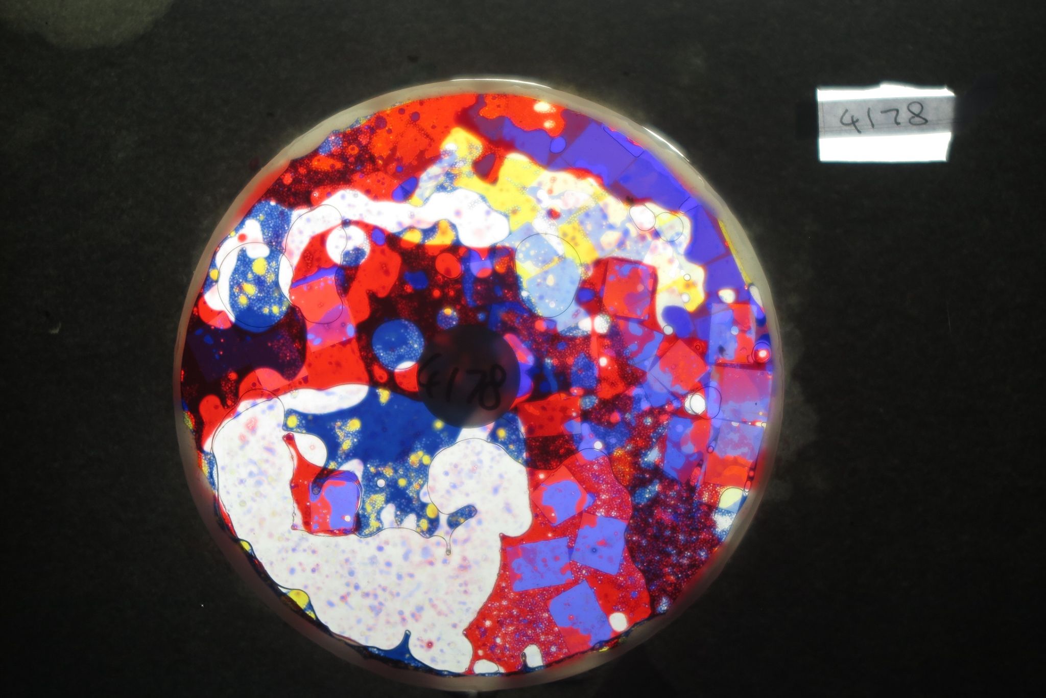 BV4178 bubble vision oil wheel